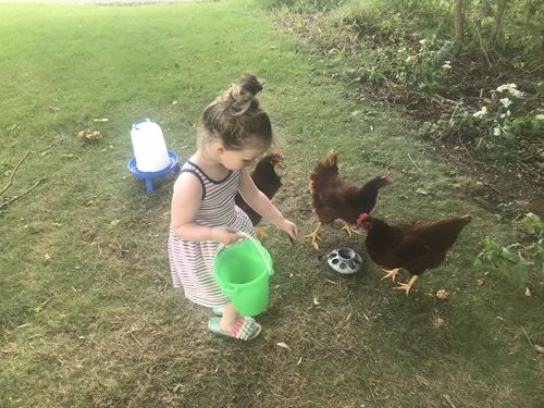 Customer photo review of GrubTerra Dried Larvae