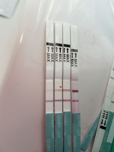 Customer photo review of Ovulation Test Strips