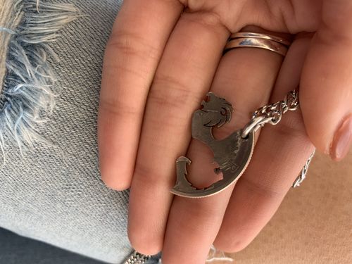 Customer photo review of 3 Lion Brothers Gift, Three Lion Heads Family Coin Necklaces