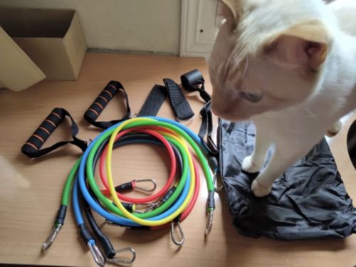 Customer photo review of QuadroBands