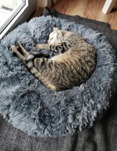 Customer photo review of FLAUSCHWOLKE - Das super flauschige Bett für deine Fellnase