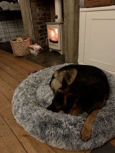 Customer photo review of King Size Calming Bed (Improved Design)