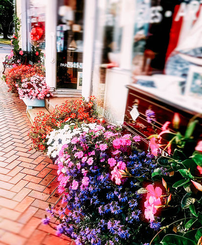 Customer photo review of CALIFORNIA