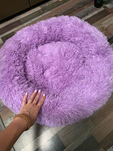 Customer photo review of Calming Anxiety Bed