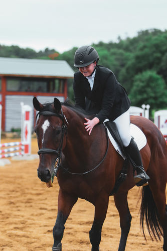 Customer photo review of Hunter Wave Bridle