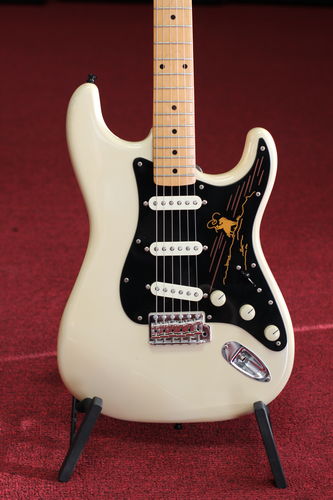 Customer photo review of THE RIDER - Stratocaster Pickguard - in Black