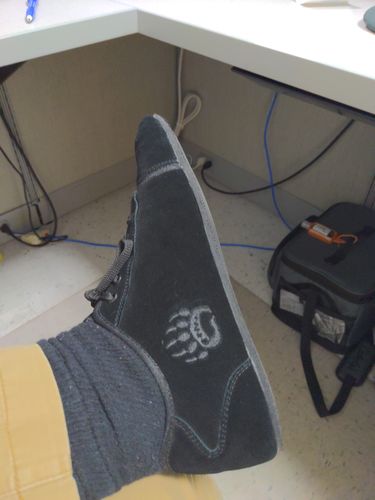 Customer photo review of Ursus