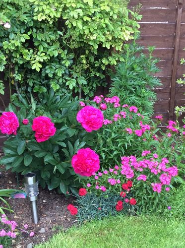 Customer photo review of Apple iPhone X 64GB Space Grey Unlocked Refurbished Pristine