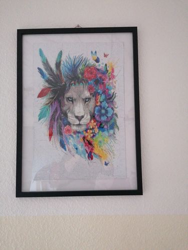 Customer photo review of Diamond Painting - Löwe bunte Feder