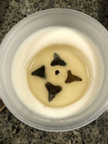 Customer photo review of Duo Bundle - Original Shark Tooth Candle