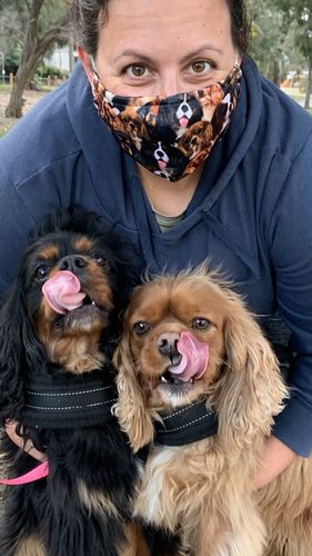 Customer photo review of You Will Have A Bunch Of Cavalier King Charles Spaniels F-Mask
