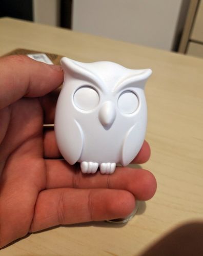 Customer photo review of Porte Clé Mural Hibou