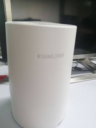 Customer photo review of Portable Air Purifier for Home