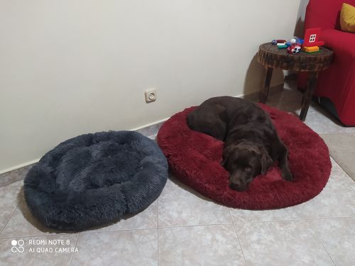 Customer photo review of Cama Relax oficial Emílio anti-stress mais fofinha e enchimento real