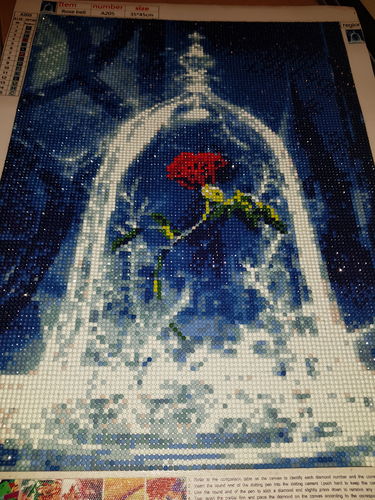 Customer photo review of Diamond Painting Versiegelung®