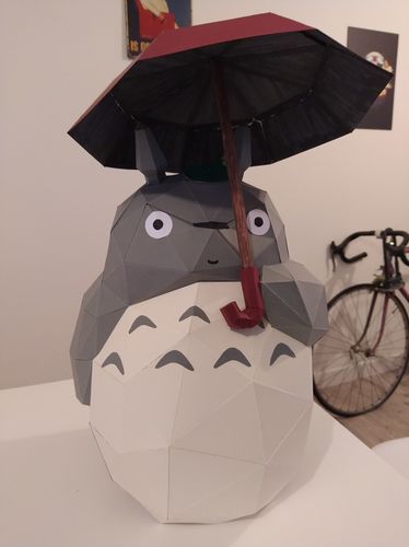 Customer photo review of Totoro