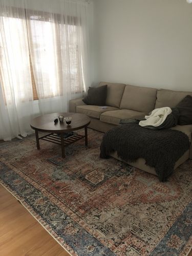 Customer photo review of Distressed Vintage Cezanne Blush Area Rug