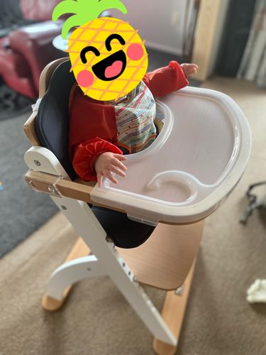 Customer photo review of Babyhood Kaylula Ava High Chair