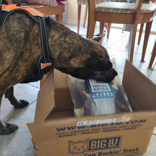 Customer photo review of Surprise Me Hooman Auto renew (Ships every 3 Months)