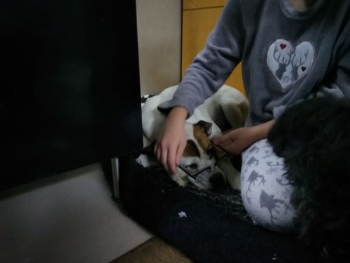 Customer photo review of GMG Optimizer - Mat