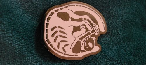 Customer photo review of Skeleton Cat, Enamel Pin