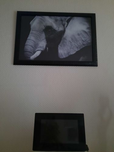 Customer photo review of Tableau Éléphant en Noir et Blanc