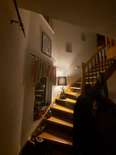 Customer photo review of Wurzelholz Tischlampe IKAL Höhe 75 cm inkl. Lampenschirm