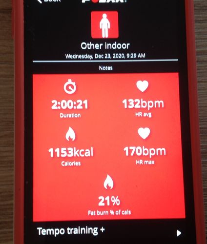 Customer photo review of BionicGym