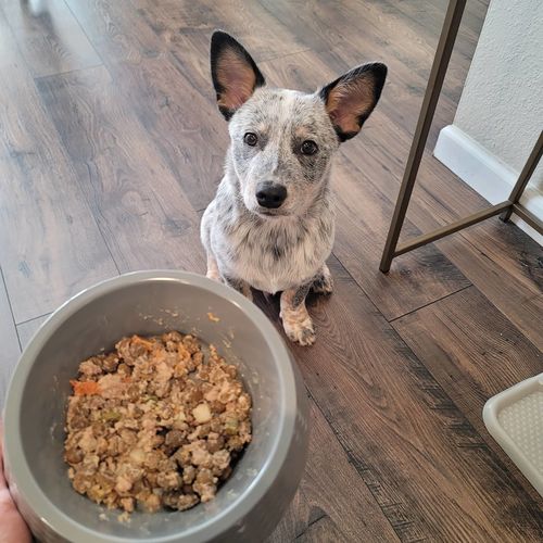 Customer photo review of Meal Variety Pack