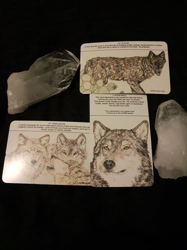 Customer photo review of Wolf Pack Tarot by Robert Petro