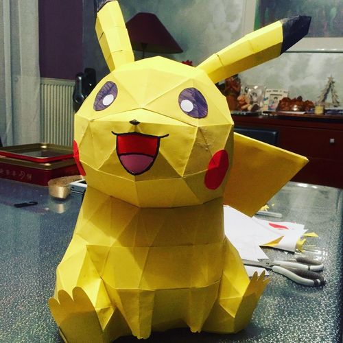 Customer photo review of Pikachu