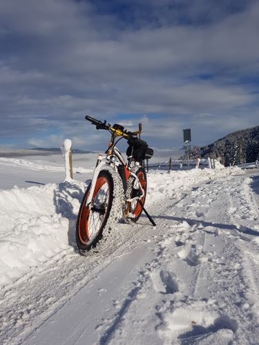 Customer photo review of Top-012 Powerful 1000W 48V 17Ah Electric Fat Bike