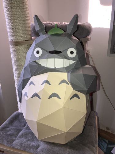Customer photo review of Totoro