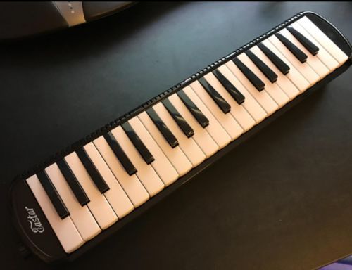 Customer photo review of Eastar Melodica 32 Key Piano Style Melodica Instrument for Kids and Beginners with Mouthpiece, Carrying Bag Black