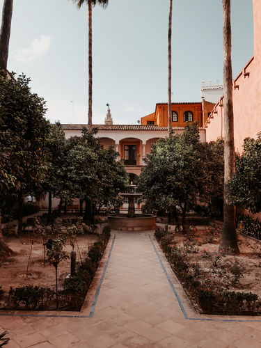 Customer photo review of OMAN