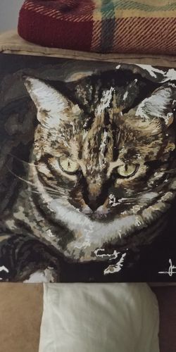 Customer photo review of Pintar por numeros personalizado