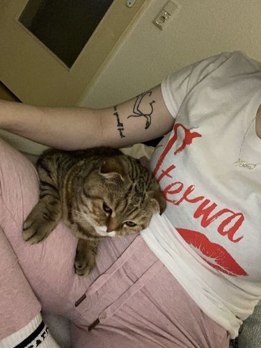 Customer photo review of STERWA Red Lips Damen T-Shirt tailliert weiß by SAEBIS®