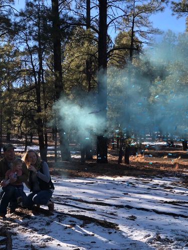 Customer photo review of Gender Reveal Cannons - Powder & Confetti Kit