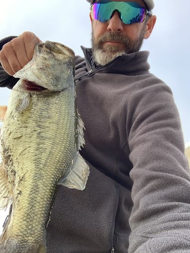 Customer photo review of Headbanger RockerHead 3-pack