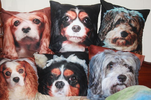Customer photo review of They Steal Your Coach - Personalized Pillow Cases (Set of 2) With Your Pet's Photos