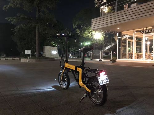 Customer photo review of Top-619 Foldable Single-Speed 36V 10.2Ah Electric City Bike