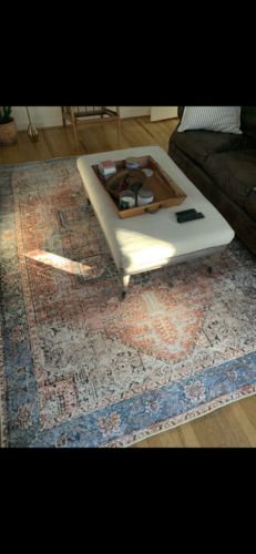 Customer photo review of Distressed Vintage Cezanne Terracotta Sky Area Rug