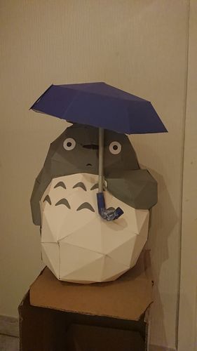 Customer photo review of Totoro
