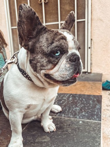 Customer photo review of Ultimate Preset Bundle