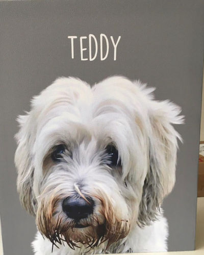 Customer photo review of Classic – Custom Pet Canvas