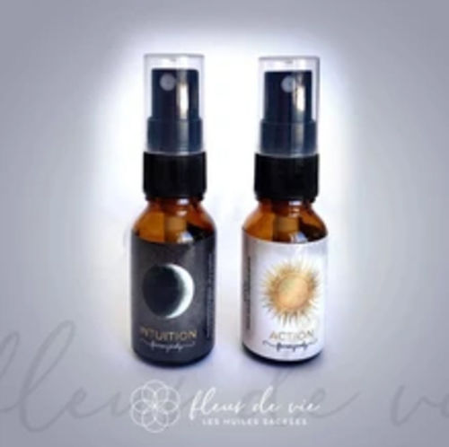 Customer photo review of Bruines Intuition et Action
