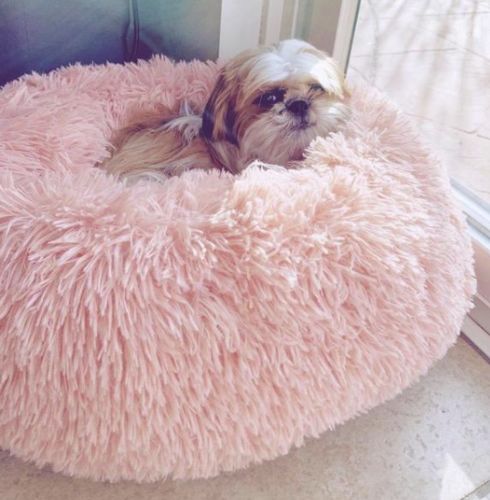 Customer photo review of Removable Cover - Super Soft & Fluffy Calming Dog Bed