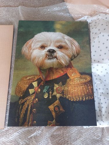 Customer photo review of The General – Custom Vintage Pet Canvas