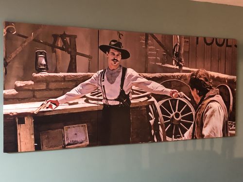 Customer photo review of Tombstone Daisy If You Do Canvas Sets