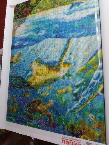 Customer photo review of Diamond Painting Standard Equipment Set